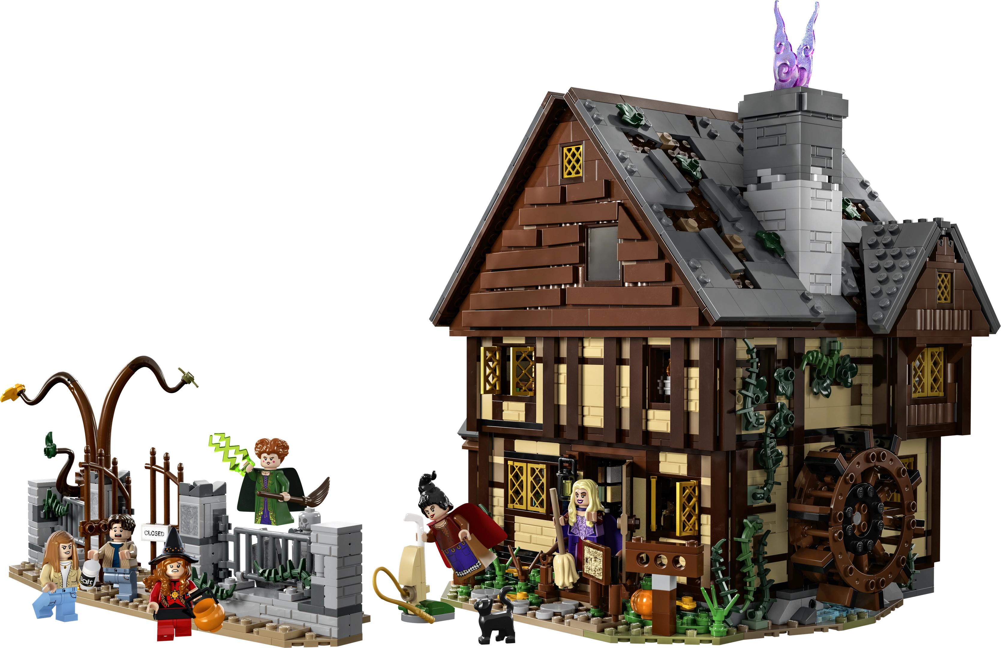 LEGO 21341 Hocus Pocus