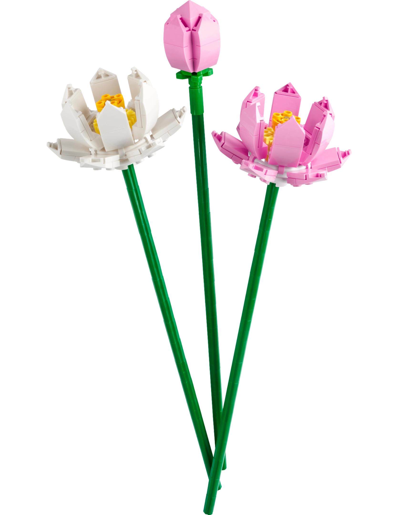 LEGO 40647 Lotus Flowers