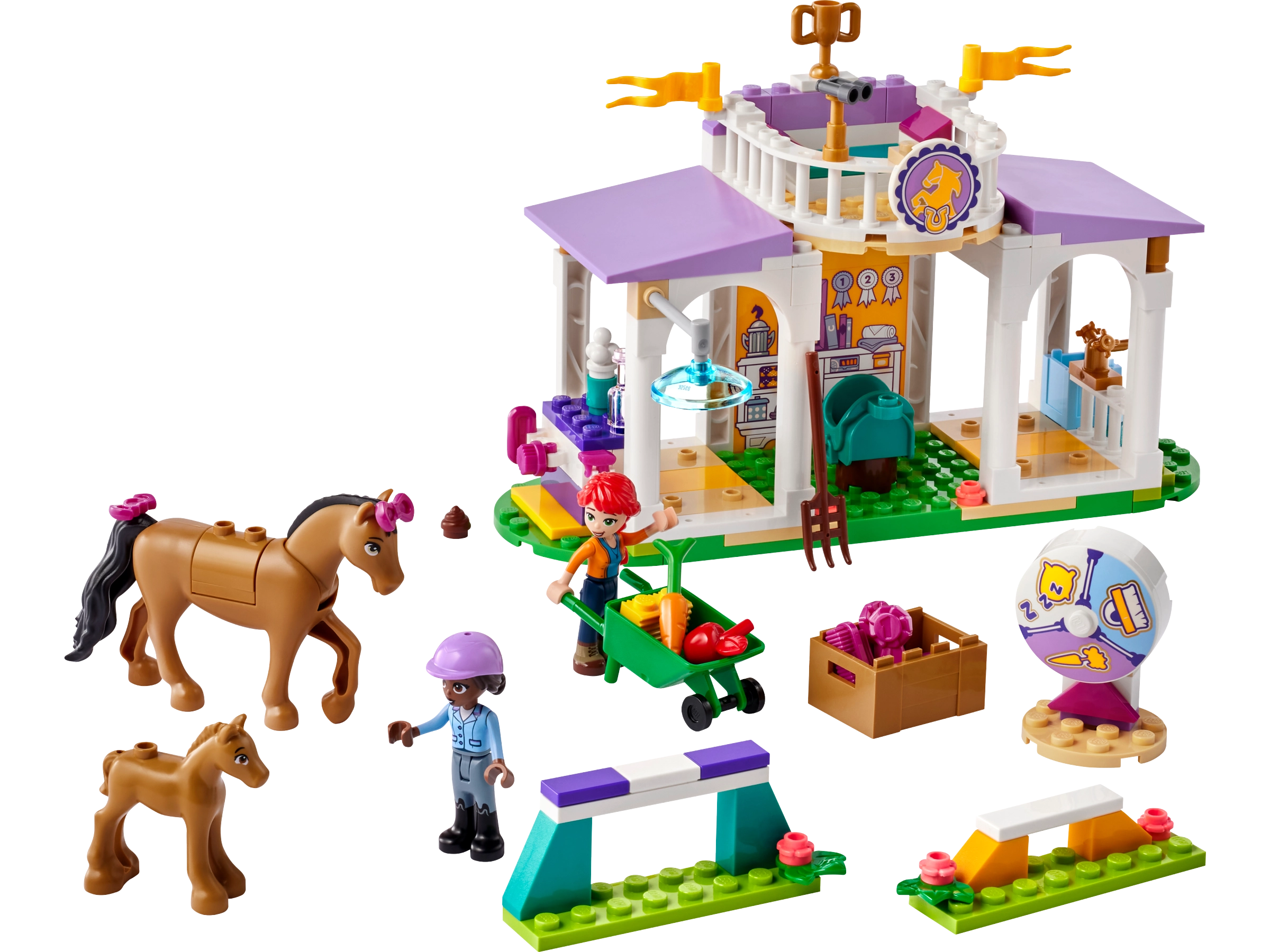 LEGO 41746 Horse Training