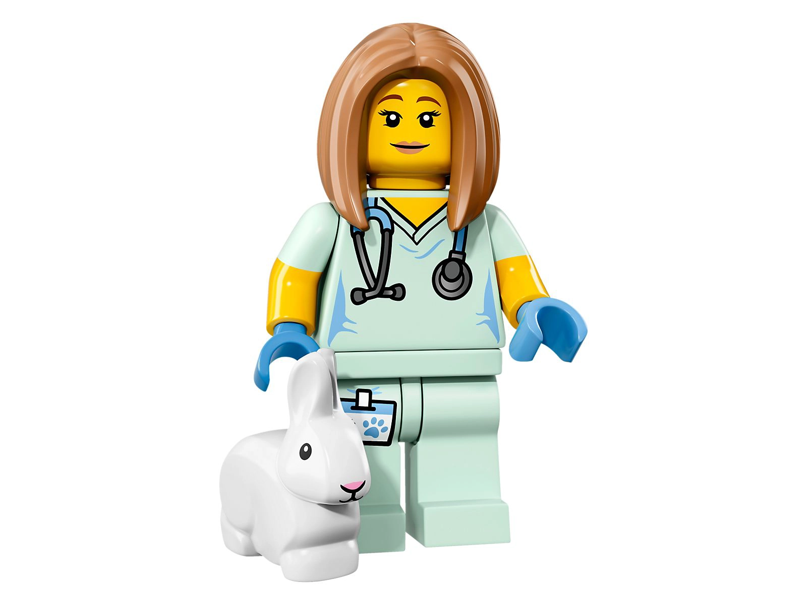 LEGO 71018 Veterinarian