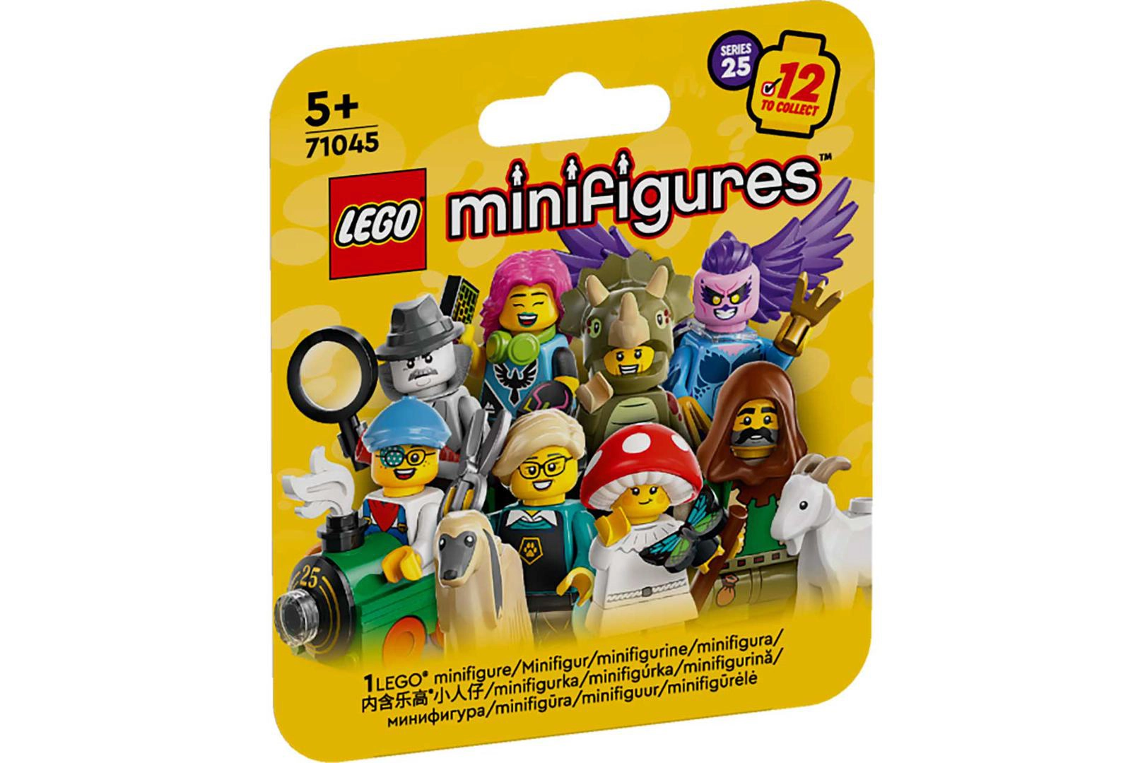 LEGO 71045 Series 25 - Random Box