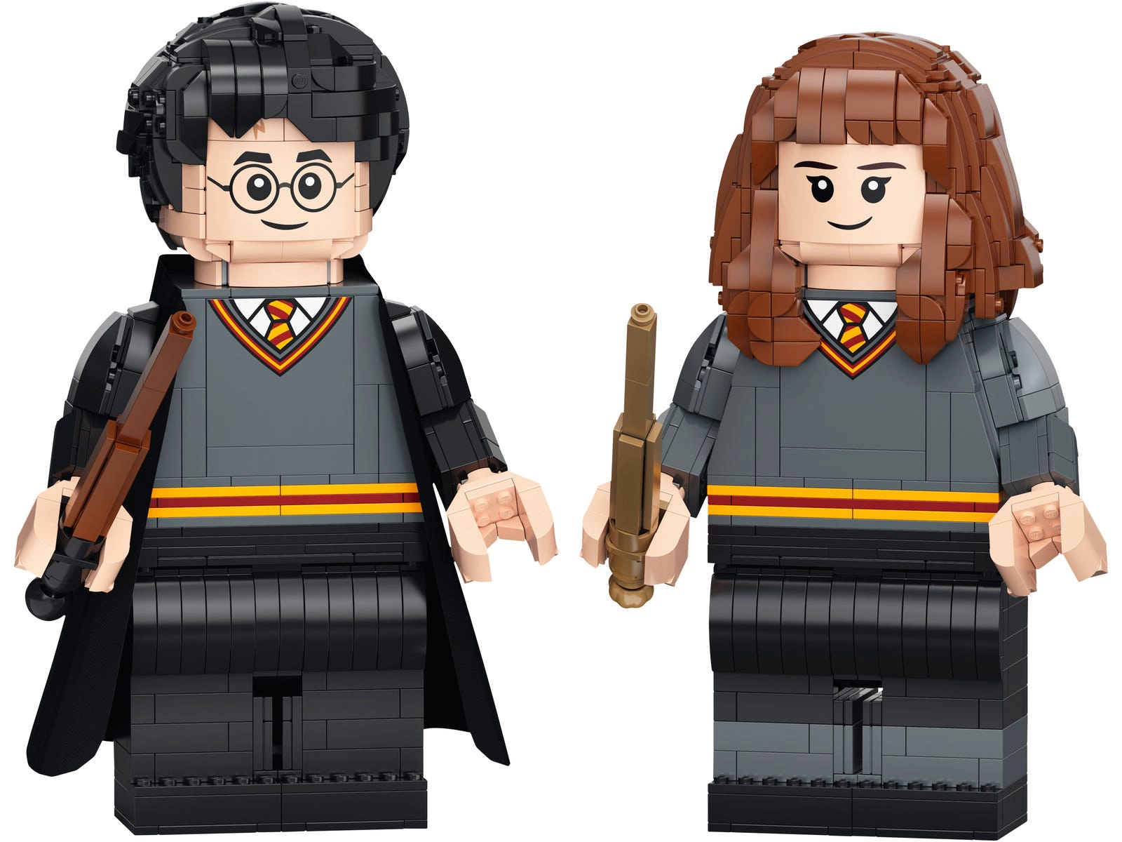 LEGO 76393 Harry Potter & Hermione Granger