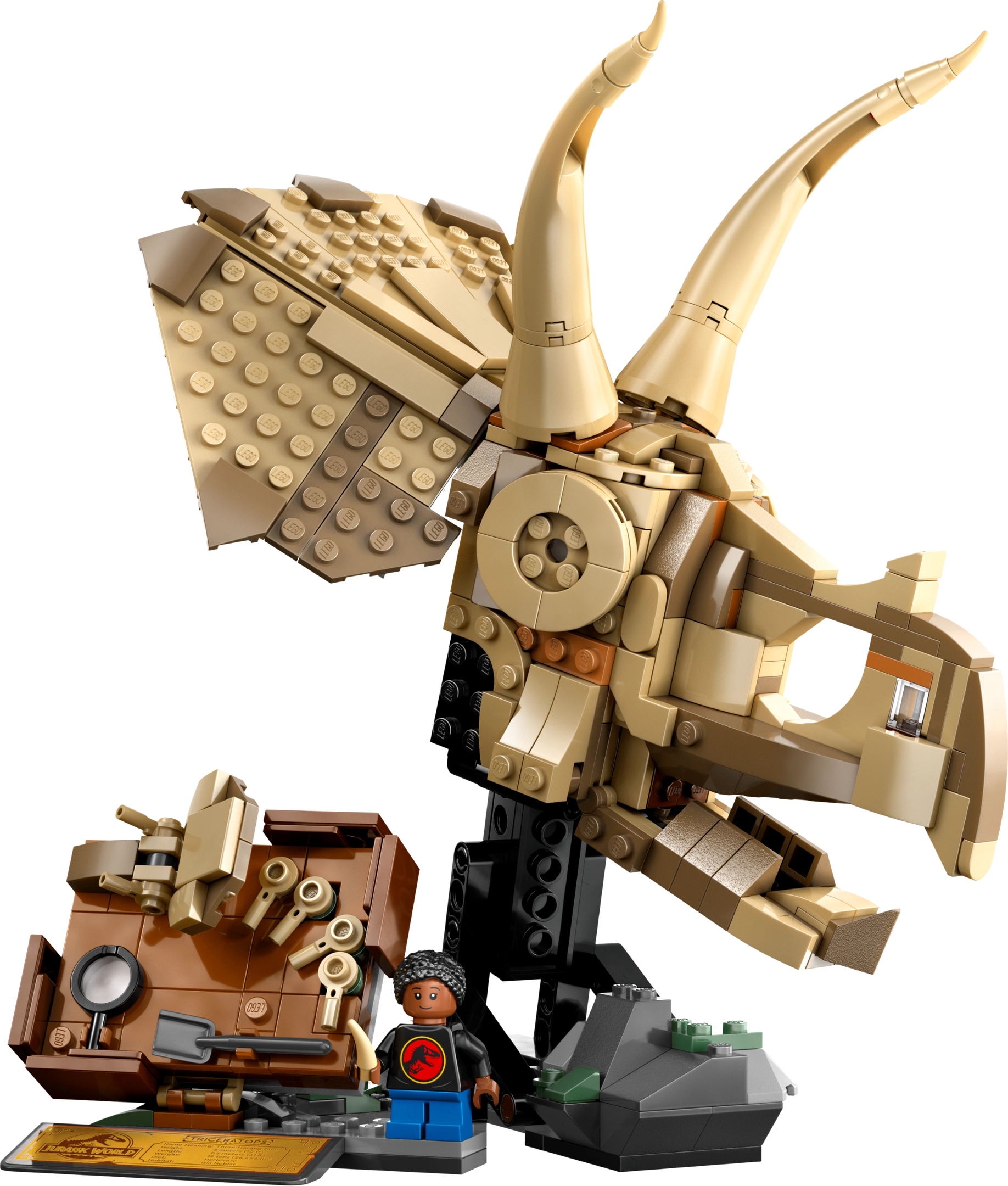 LEGO 76969 Dinosaur Fossils: Triceratops Skull